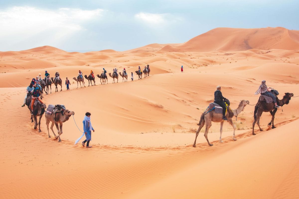 Day 6 – Sahara Desert Experience