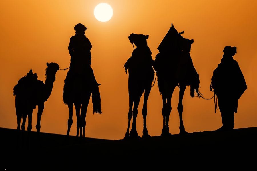 Day – Sahara Desert Experience